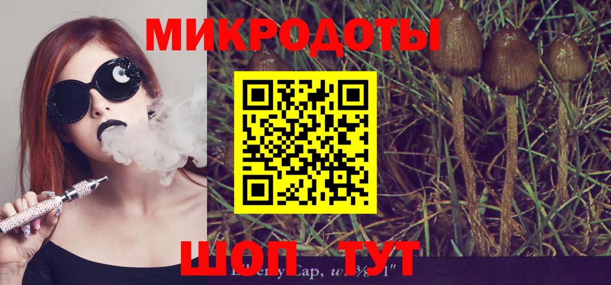 Гусиноозёрск  Псилоцибиновые грибы прущие грибы  магазин продажи наркотиков  Вход с VPN 