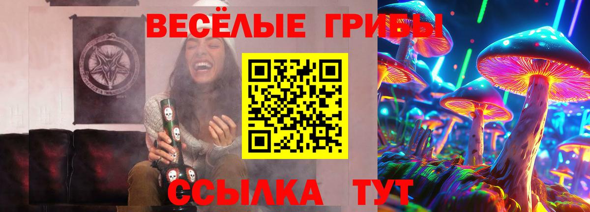 Галлюциногенные грибы Psilocybine cubensis Гусиноозёрск